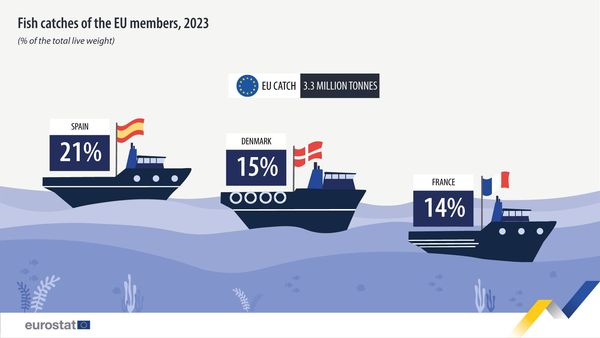 source: https://www.facebook.com/EurostatStatistics/posts/pfbid07yKj8amoY3R1h5if1asGQdxHjbaPFLfcJfZFJ9Qp6YYFdUEk2MG2hfpoDW1fuXWfl