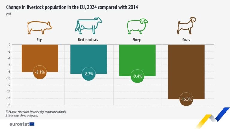 source: https://www.facebook.com/EurostatStatistics/posts/pfbid02bcYGHuRwxaFqsarh6SrDRKpGvqpMP2jSchbRdKwRyJ5Zkgb11n3eotAb1xwVWf74l