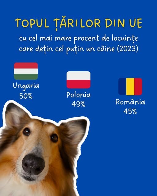 source: https://www.facebook.com/comisia.europeana.in.romania/posts/pfbid0g3TGtnb1phAYrC6aeYr9K7stYPmGDJ2C2vaw2yLdHSRC7kZG3gXNqnPRVvCjZ4Gnl