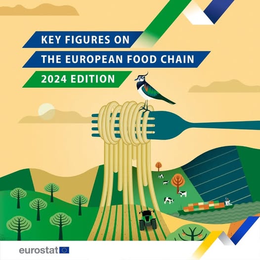 source: https://www.facebook.com/EurostatStatistics/posts/pfbid01PARtxe6Cu8Cw5gearLgTWAee4Qo7gzNP8M3L6gyrRbB12tsc6tDbvNe2u1wc7RKl