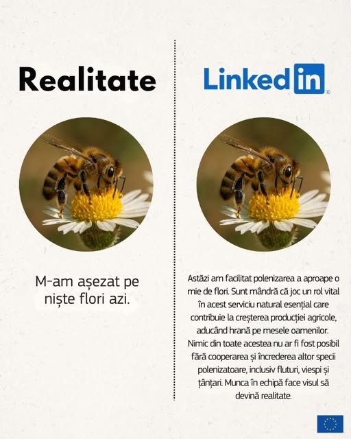 source: https://www.facebook.com/comisia.europeana.in.romania/posts/pfbid0FzGnP35nHVbk1aji4zWvHme9RZkMk6GyaEt3M5iV7dgYEbpfnew1MkrMiafktyDrl