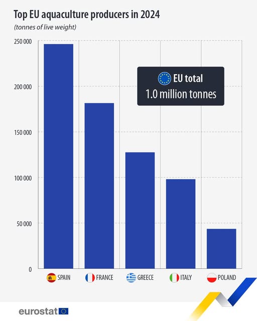 source: https://www.facebook.com/EurostatStatistics/posts/pfbid02jFzXPz4nsv9GvQXJjY7ZpCHLuKvKT2iUNd8AWf3ng9vq7t2k9A3nuk2ygmBybKYAl