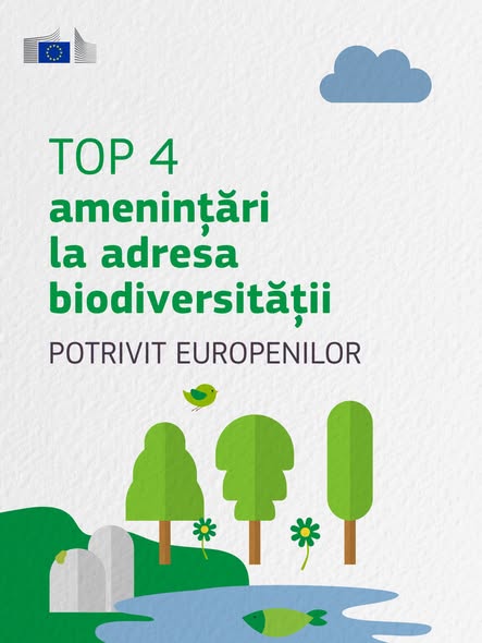 source: https://www.facebook.com/comisia.europeana.in.romania/posts/pfbid0RKhJZcWUkMFGQ9QUYjMLfv8k6F3SPYX8AZ8uVPt6jToaHZZjkXKPTSAk38uQecXAl