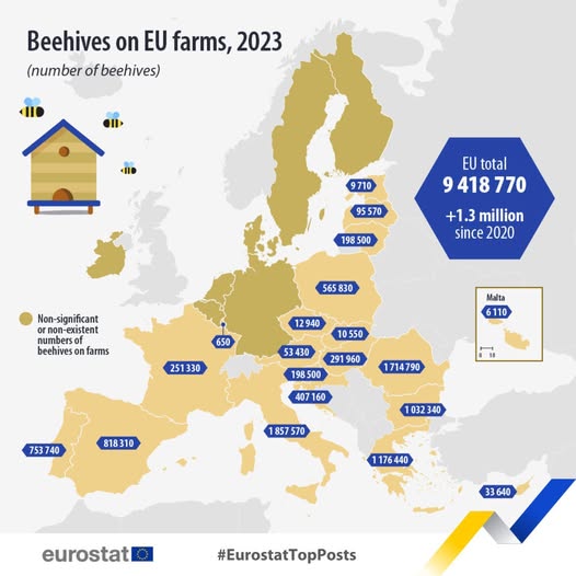 source: https://www.facebook.com/EurostatStatistics/posts/pfbid02b78w6Q2FwLgoXsdYj1wJDtRB3rD4wtu4NXnjp5RbS8i2FZW2AKT1h7hMjnB422mBl