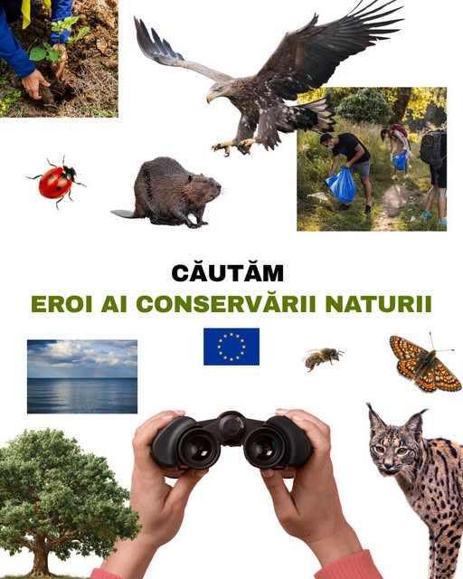 source: https://www.facebook.com/comisia.europeana.in.romania/posts/pfbid02UbfGG7J58z2bGf3oVp79iCq3ecSNqHuCytKhXsGEssqYbsGh29kia286ZqpwCtKWl